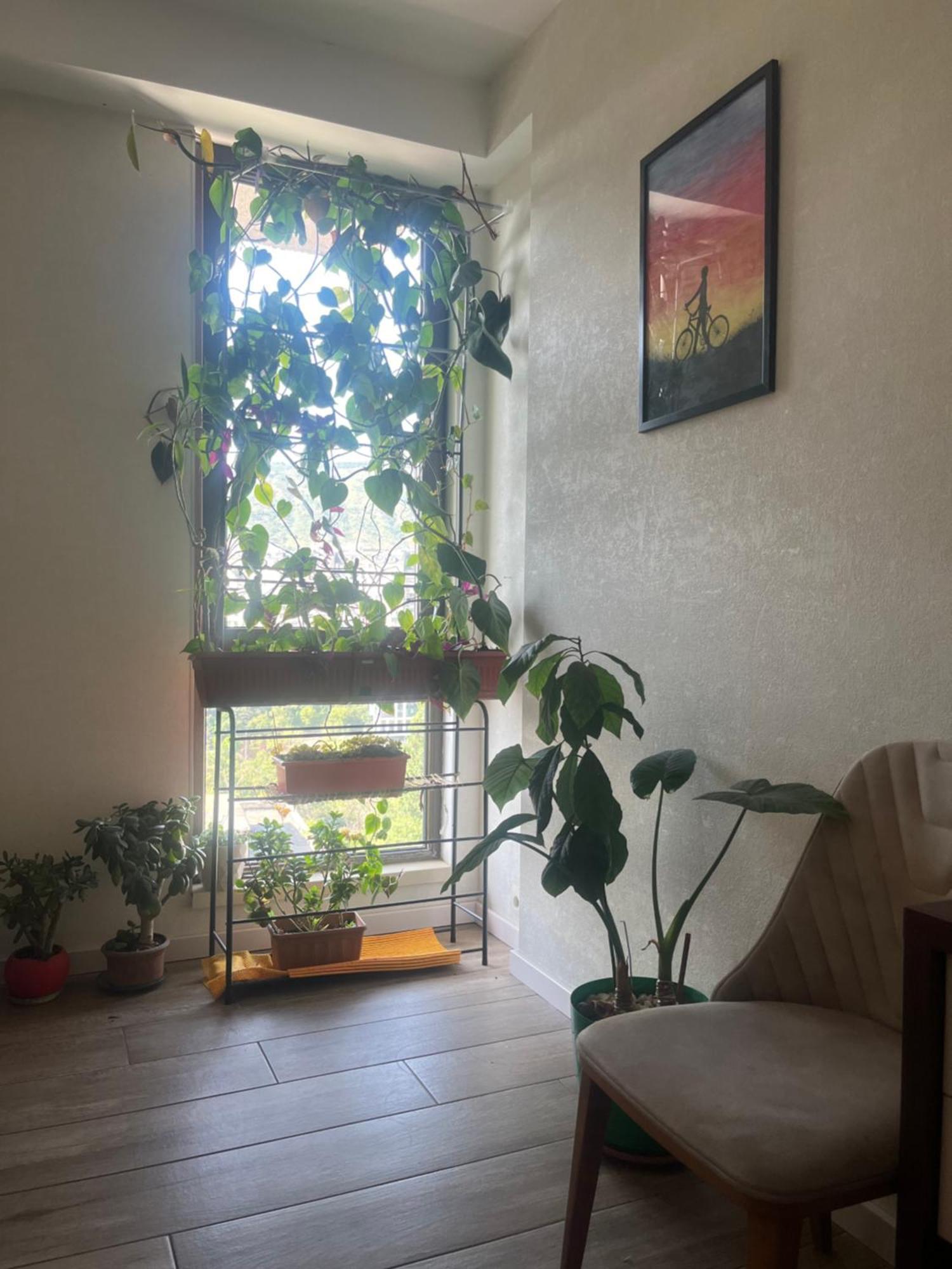 Panorama Khiliani Apartment Tbilisi Luaran gambar